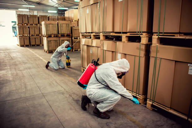 Best Affordable Exterminators  in Townsend, MT
