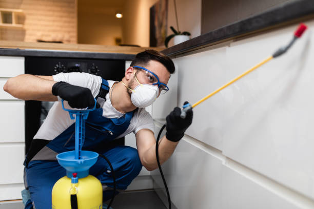 Best Pest Prevention Services  in Townsend, MT