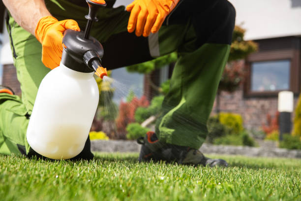 Best Mosquito Control Services  in Townsend, MT