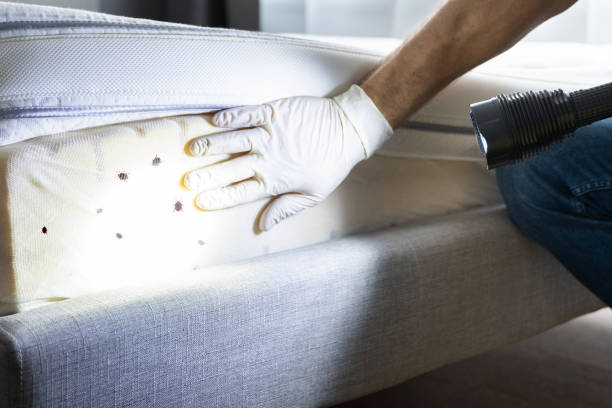 Best Emergency Pest Control  in Townsend, MT