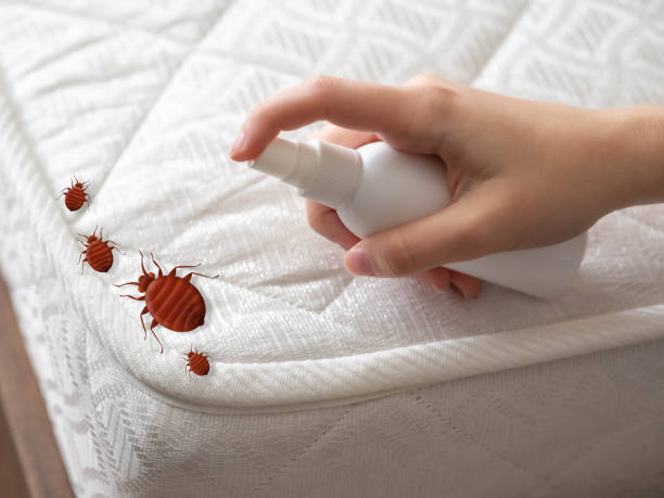 Best Best Pest Control Companies  in Townsend, MT