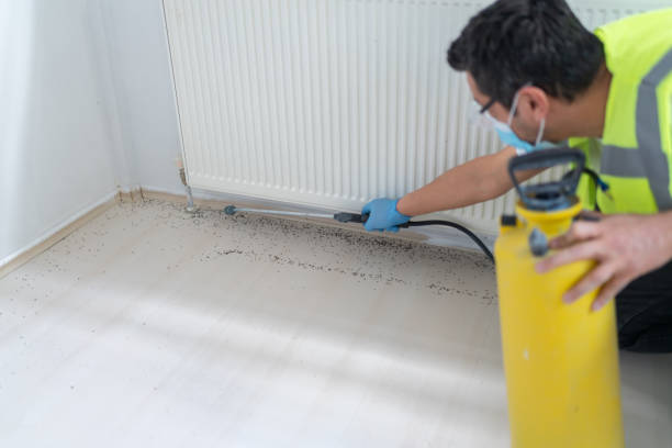 Reliable Townsend, MT Pest Control Solutions