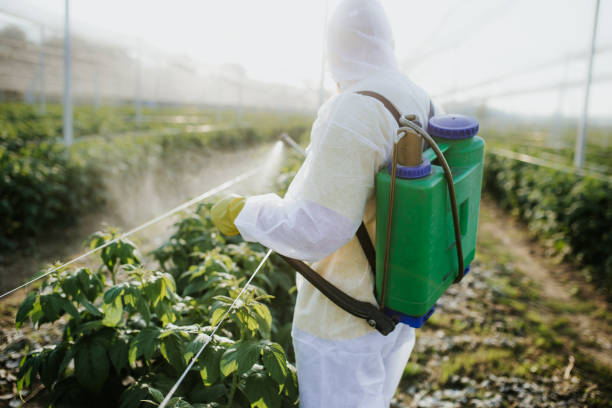 Best Flea Control Services  in Townsend, MT